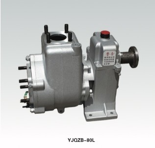 YJQZB-80Lʽˮ܇
